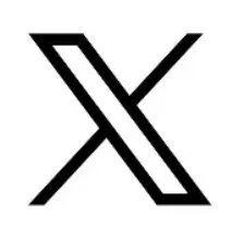 x logo image 2